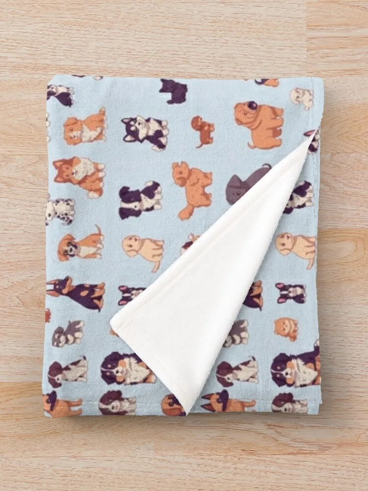 ���� ������ ������ ���� �� ��, 87 �� ���� ������ ���, ���� ���� ķ�� ���