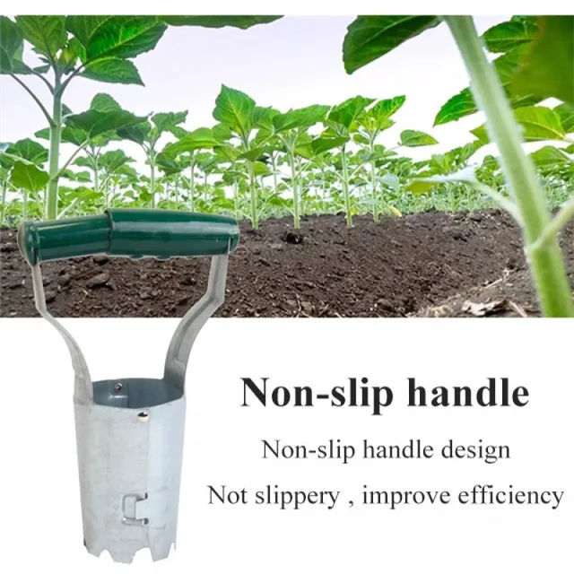 A Beépített Palánta Indító Növekszik Növény Optimális Növekedése Érdekében - Image 3