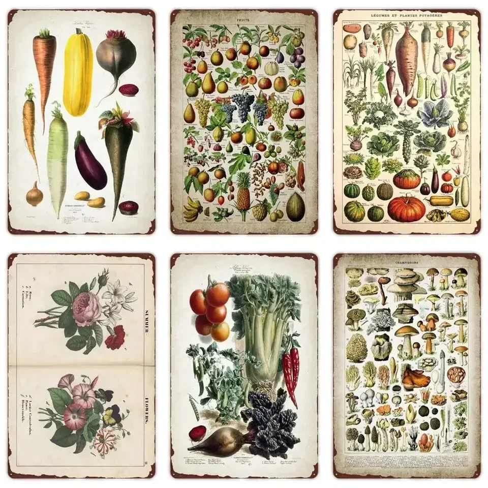 IMPRESSION D'ASPERGE ET D'ARTICHAUT: Illustration de légumes Vintage, image size:960x960