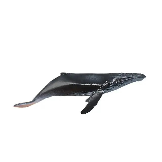 Sea World Mini Fishes Model 4