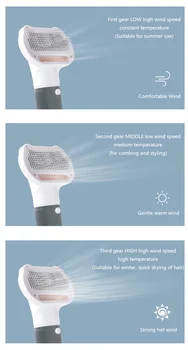 Sèche-cheveux professionnel pour chiens : Têtes interchangeables, séchage rapide et doux - 2025 - Doglovedesign : Vêtement et accessoires pour chiens