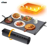 Tapis chauffant électrique pliable en Silicone, pour café, assiette alimentaire, plateau chauffant, Table à manger, tapis chauffant rapide 1