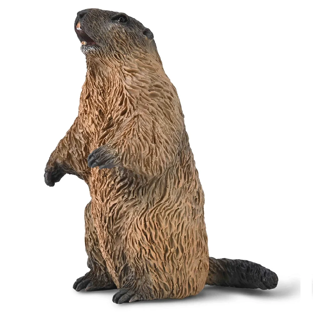 2025 New CollectA Marmot Model Classic Toy 80044 Small Size