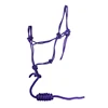 Cavpassion-Red Horse Bridle, Horse Halter, Blue Horse Halter with Leading Rope, Purple Riding Horse Halter