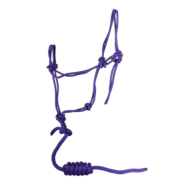 Cavpassion-Red Horse Bridle, Horse Halter, Blue Horse Halter with Leading Rope, Purple Riding Horse Halter