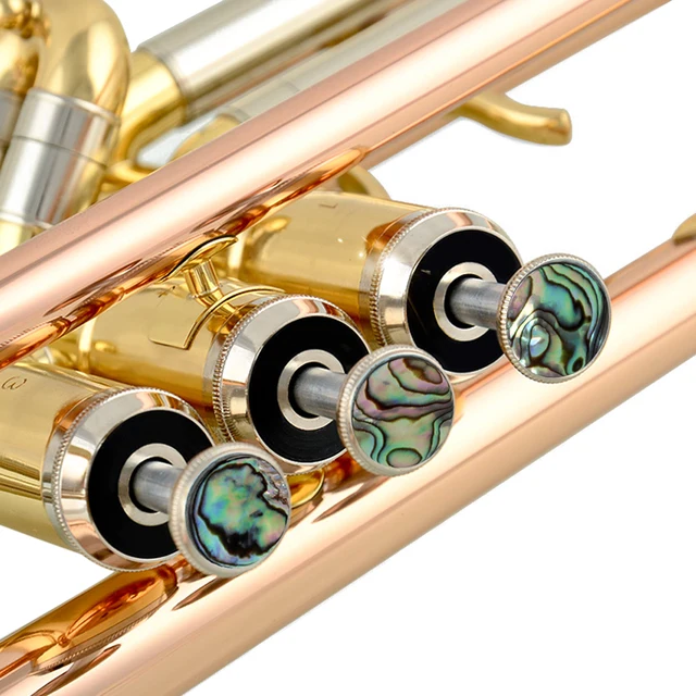 Set 12 Pezzi Per Valvola Tromba - Cappucci E Aste Con Decorazione In Abalone, Ricambio Preciso - Foto 8