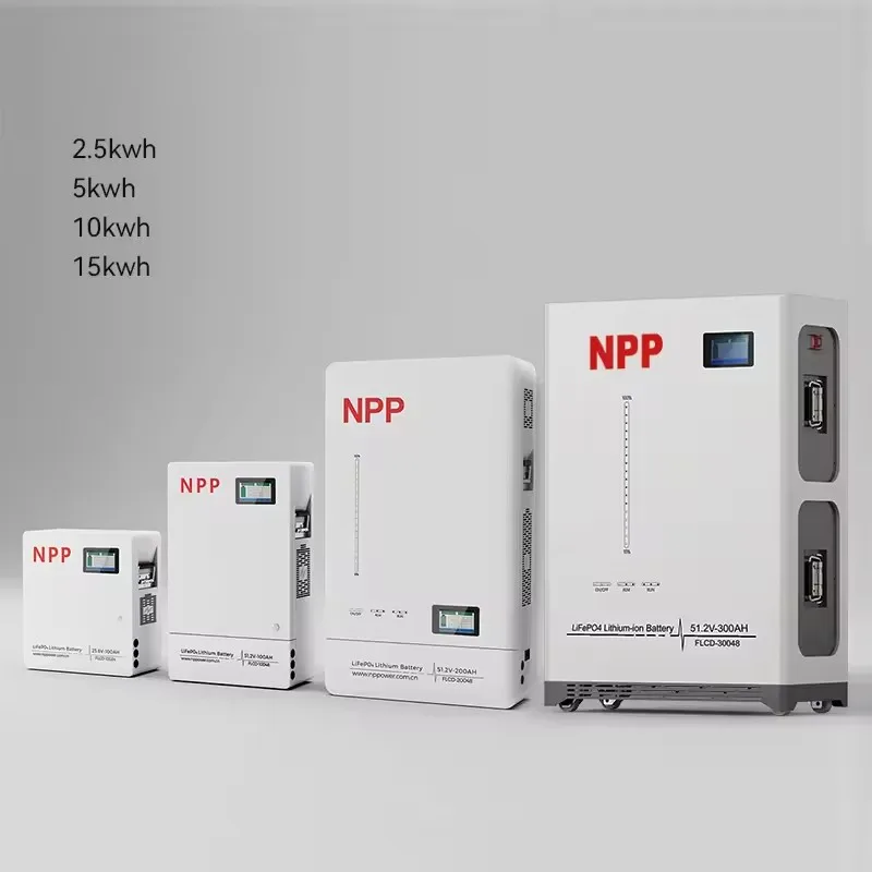 NPP Wall Floor Mounted Lithium Storage Battery Lifepo4 BMS 25.6V 100AH 2.5KWH Quickly Recharge Free Maintenance Solar System