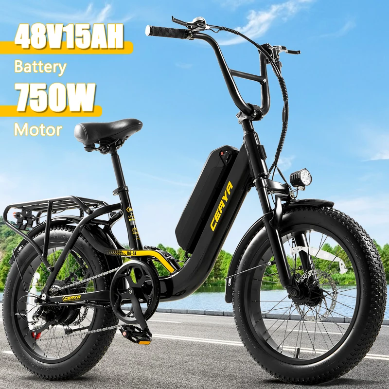 Adult City Commuter Mountain Electric Bike All Terrain 48V750W15AH 7-speed bike 20 * 3 tire YDD-R8SE