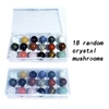 18 crystal mushrooms