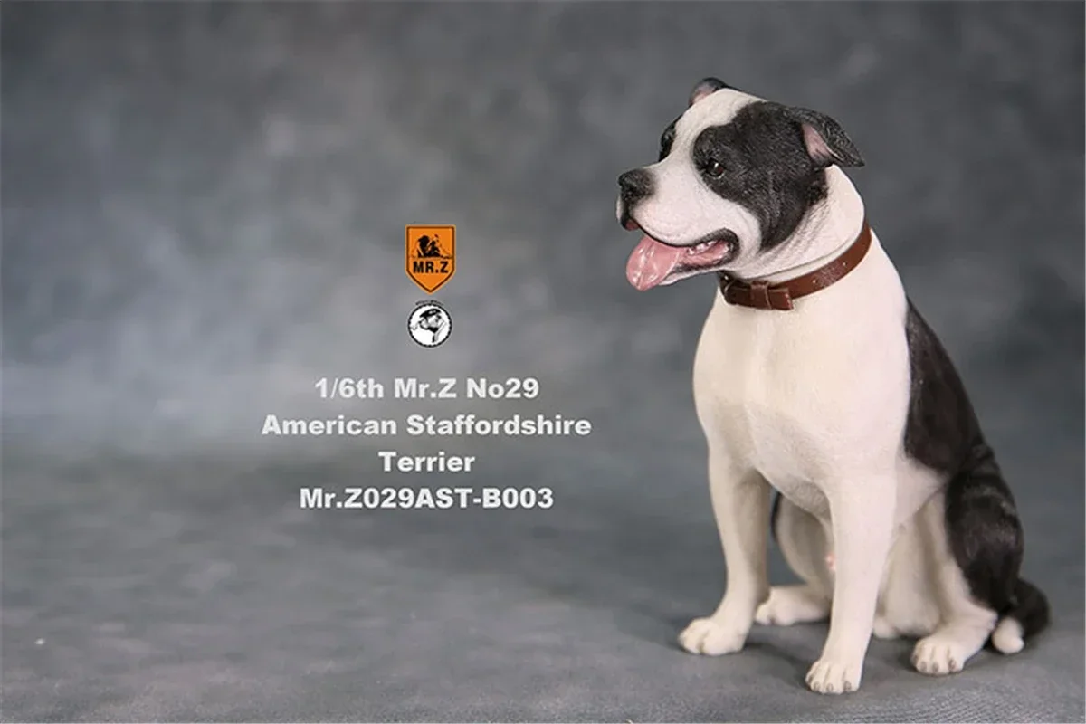 thumbnail image 1 of Figura de perro American Staffordshire Terrier de Mr.Z Studio 1:6, modelo de animal cánido, juguete de colección, decoración de escritorio para adultos, 1 of 5