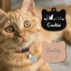  Stainless Steel Cat Name Tag Custom ID Cute Pet Pendant Engraved Keyring Accessories Personalized  Nameplate 4