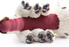 2024 New Plush 15.7” Appa Stuffed Animal 4
