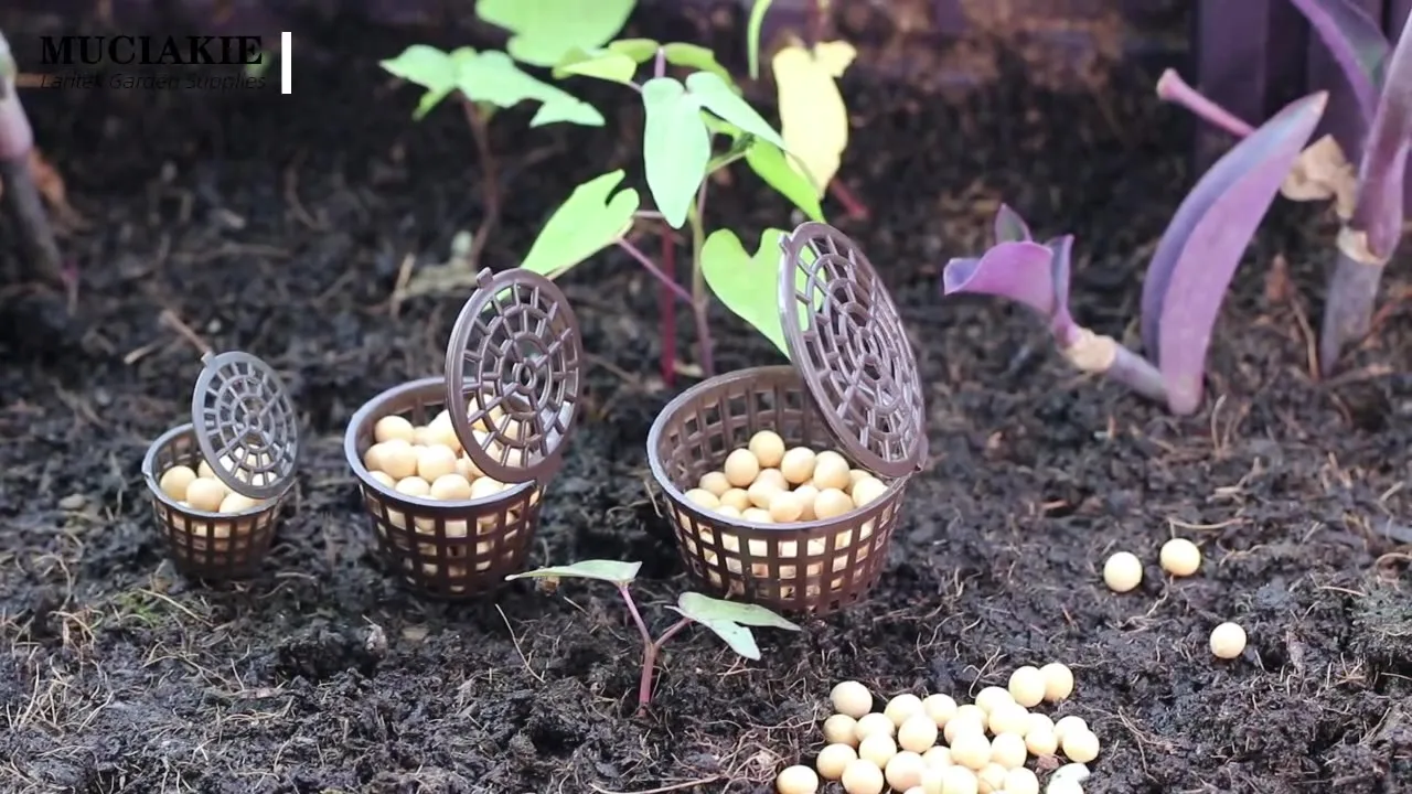 10 Pezzi Cestelli Fertilizzante Con Coperchio Per Piante, Vasi E Bonsai, In Resina PP, Per Concimazione Lenta E Controllata, 3 Dimensioni (2.8/4/5 Cm)