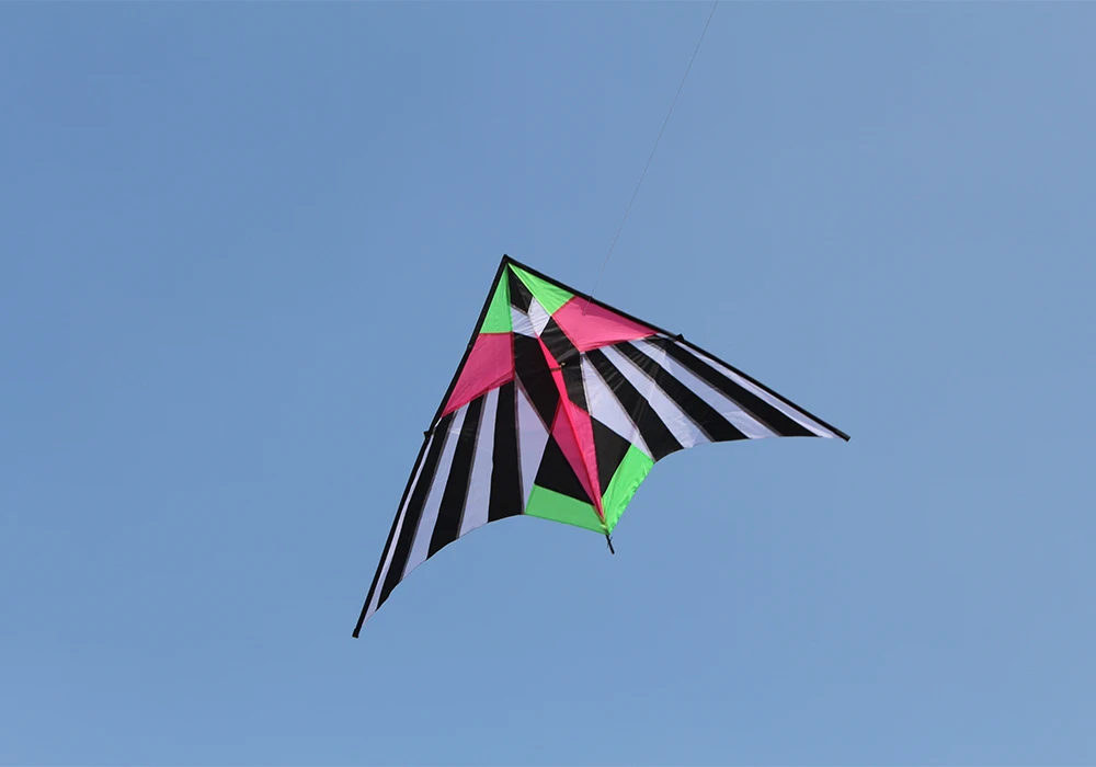 Outdoor Fun Sports New Arrive 2.5m Colorful Triangle Kites  With Handle & Line Good Flying 5