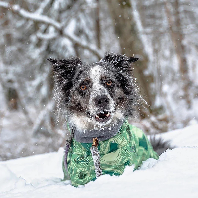 Yukon Large Dog Coat - Green 19 Sfb49943a1a8f483da524d481587d9a14T
