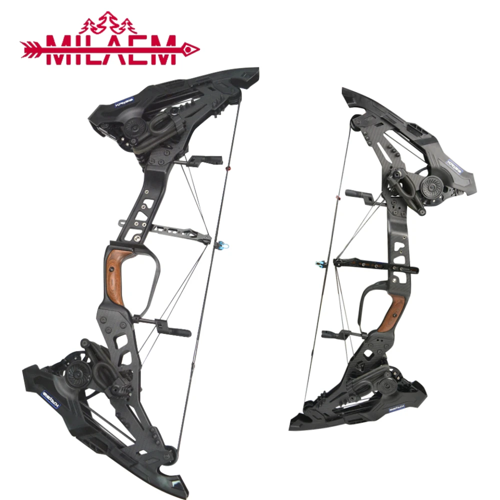 1 Pc Archery Compound Bow 21.580 Lbs Adjustable 330 FPS Steel Ball and