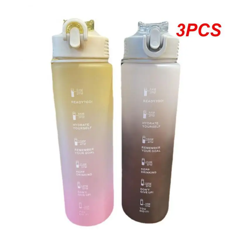 

3PCS Water Bottle Large Capacity Water Cups Creative Straw Cup Wholesale Gradient Color Household Accessories