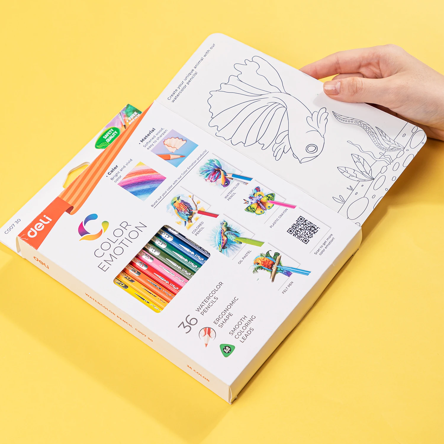 Deli Watercolor Pencil 12 / 24 / 36 Colores Drawing Pen Art Set Children Kids Painting Sketching Water Color Pencil Kit 5