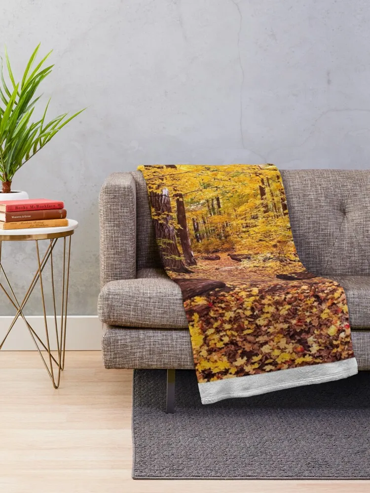 ���� Ʈ����, UW �����, �ŵ�, WI ���ο� ���, ���� ���� ���, ǫ���� ���� ���, �ڽ����� �ִϸ��̼�