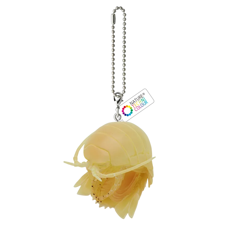 小物 tetrapod 小物 tetrapod Tetrapod - Etsy 日本