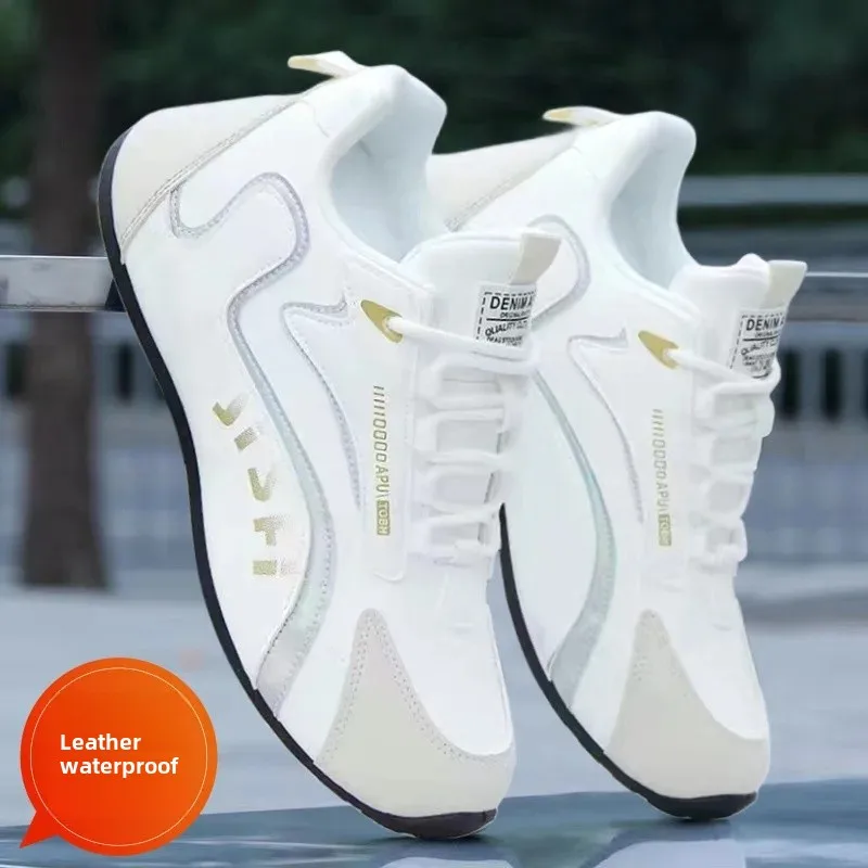 Platinum-A08 [leather] Upgraded Version