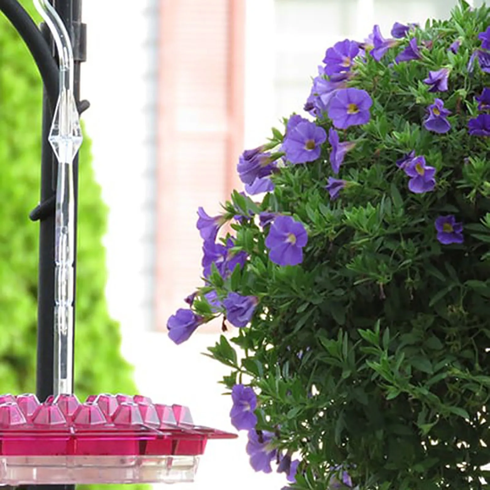 Summer Promotion 45% Off-hummingbird Feeders For Outdoors Hanging