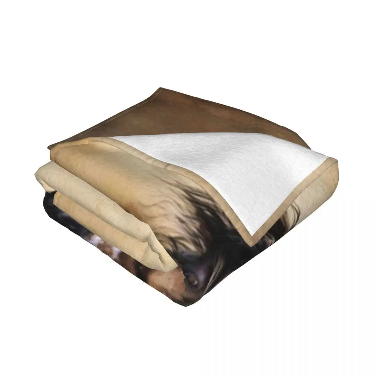 The Wild, ���� ����Ʈ �� ������ ���, ħ�� ���� ����, ���� ħ�� ���