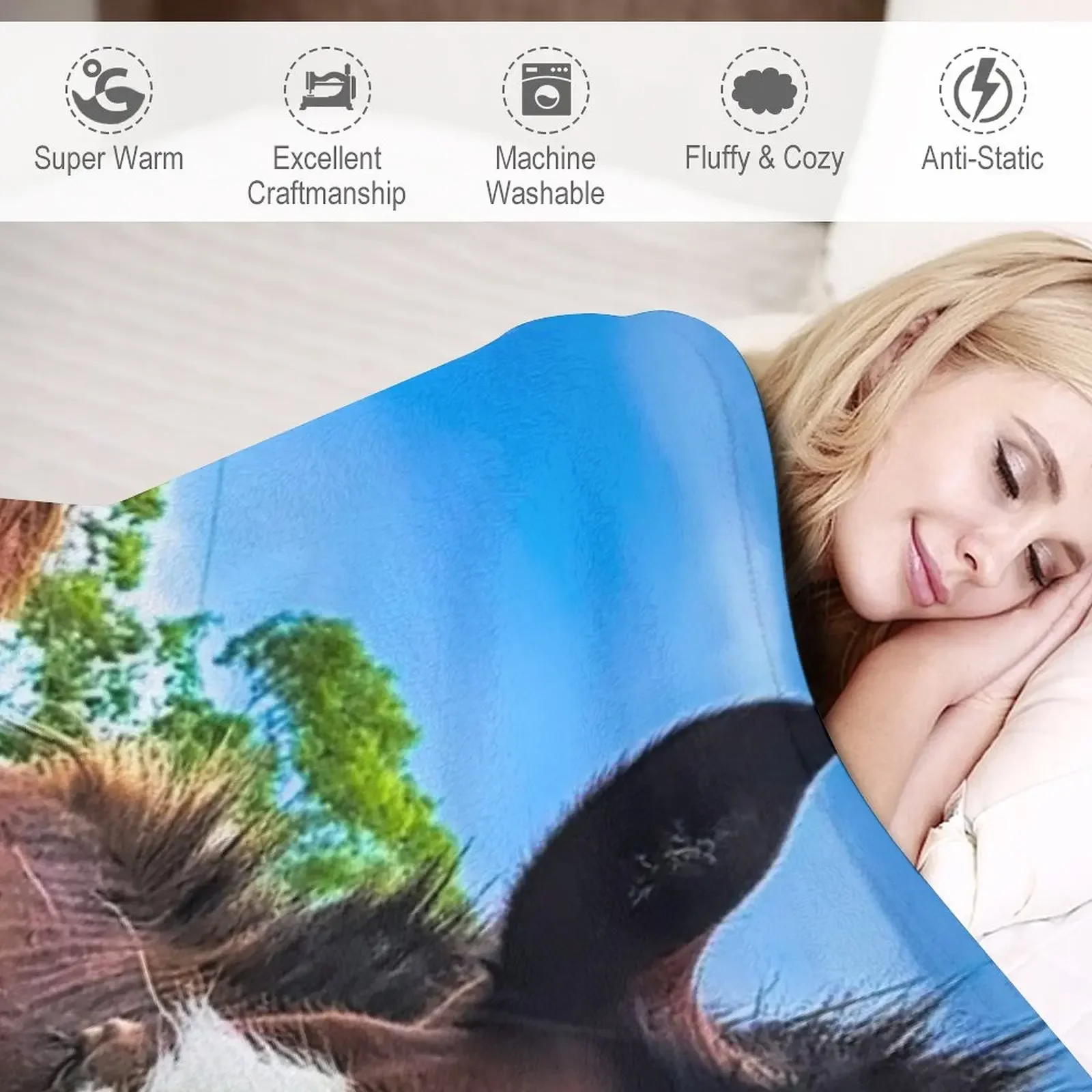 Clydesdales ���� ���ο� ���, ���Ÿ� ���� ħ��, �ö��� ���� ���