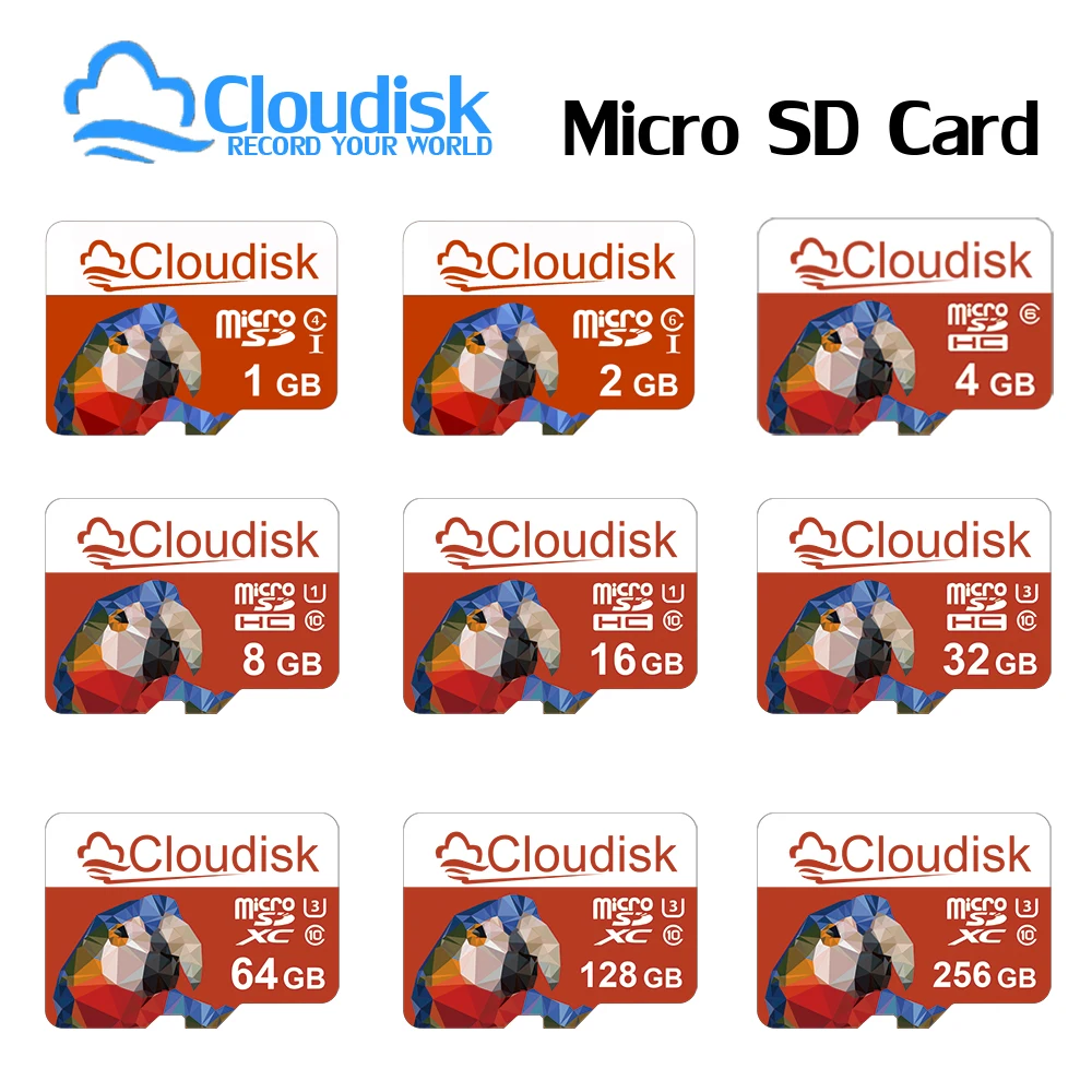 Cloudisk Micro SD Memory Card 1GB 2GB 4GB 8GB A1 Class 10 U3 V30 32GB 64GB 128GB TF Microsd Cards 16GB For Phone Tablet Camera