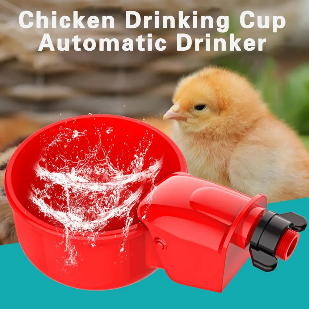 

Chicken Drinker Easy Cleaning Chicken Waterer Smooth Surface Drinking Practical Chicks Ducks Feeder Water Drinking Cups