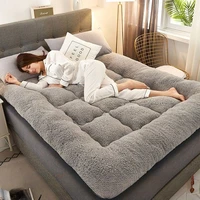Le plus récent matelas épaissi chaud en laine d'agneau matelas Tatami matelas de dortoir d'étudiant antidérapant pliable pour chambre canapé-lit rsi 2