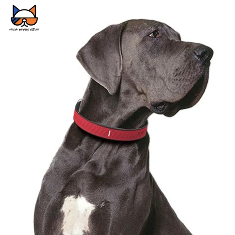 Eview Pet GPS Tracking Locator 2G Network IP67 Waterproof BT4.0 LE Microchip SIM Card GSM/GPS Dog/Cat Anti-lost Tracking Device