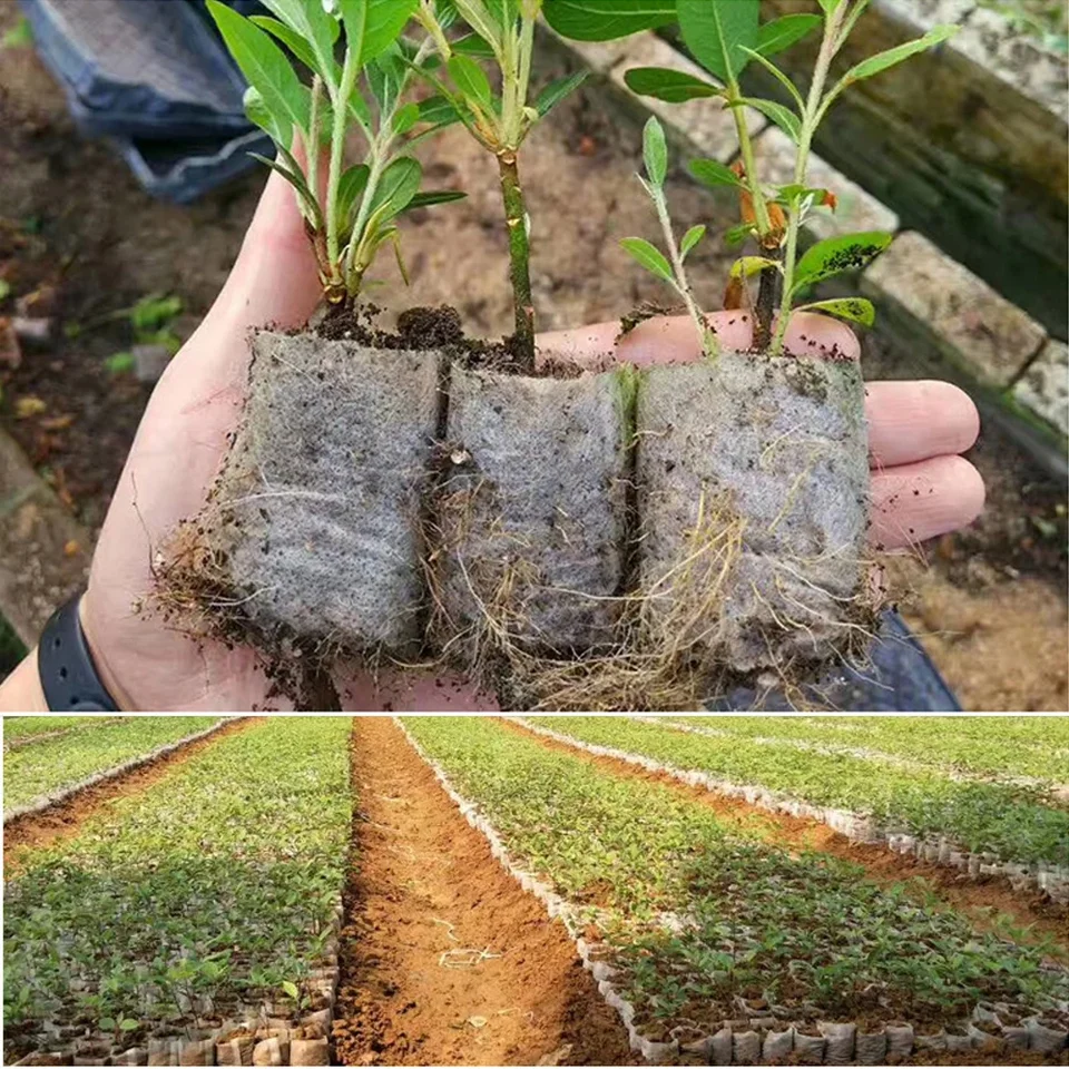 500 Pz Sacchi per Piante di Tessuto Non Tessuto, Biodegradabili Non Tessuti Borse Vivaio pianta Crescere Borse ambientali Tessuto Piantina vasi Piante Sacchetto di casa Fornitura Giardino - Bianco