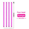 Pink Light 4 head