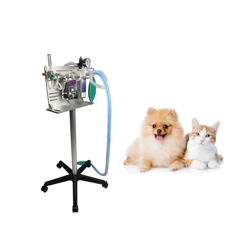 

High Precision Animal Veterinary ane sthesia Machine Anesthesic Machine Vet