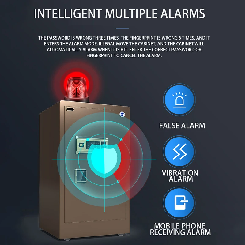 Рисунок 3 - Сейф для дома, противокражная