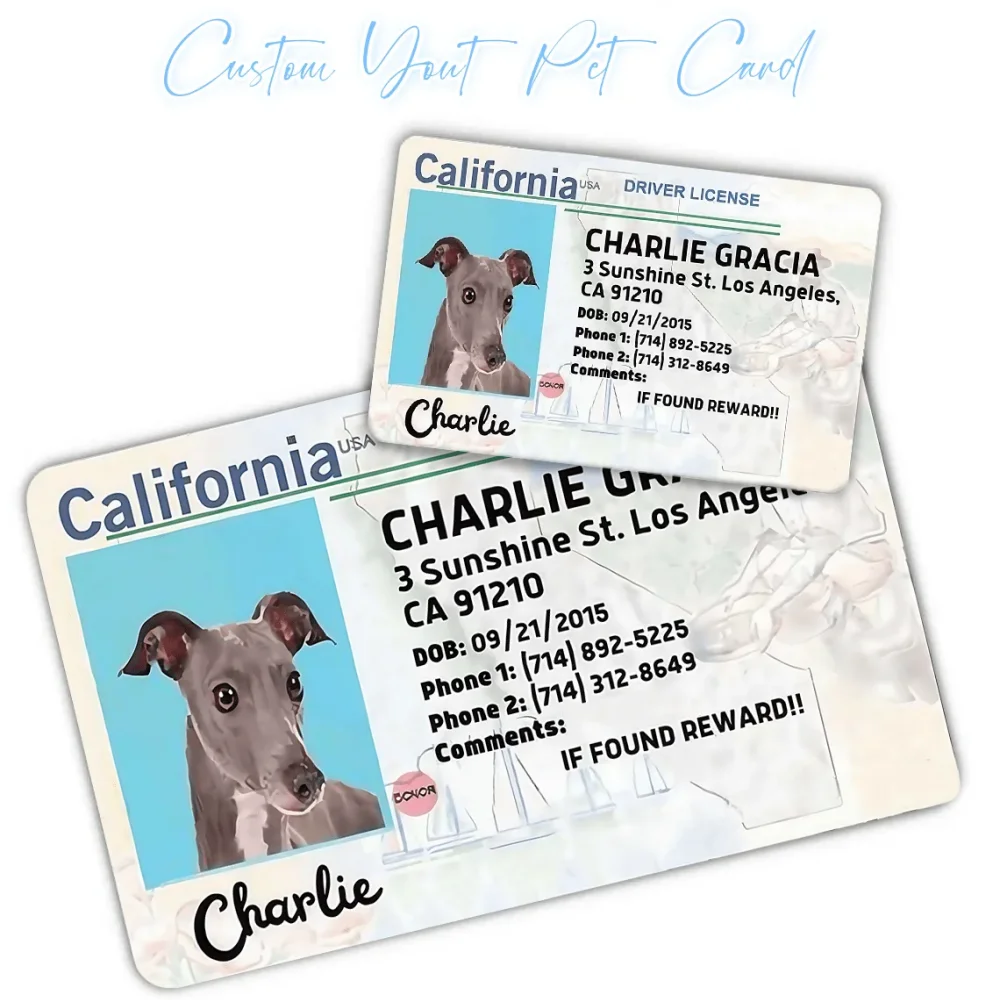 맞춤형 반려견 카드, 반려동물 카드, 개인 맞춤형 반려동물 ID 카드, 반려동물 생일 선물, 완벽한 지갑형 반려동물 카드, 반려동물 선물