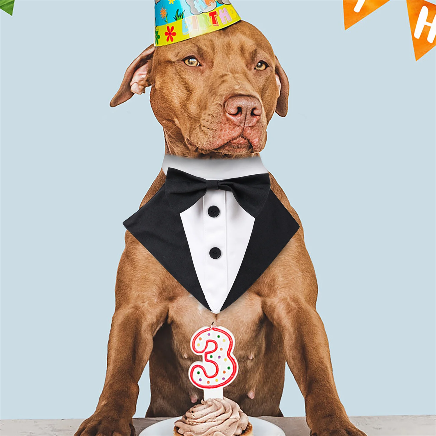 Dog Bandana for Wedding Adjustable Male Dog Formal Dress Bandana Cute Bow Pet Tuxedo for Small Medium Large Dogs Birthday Party - AliExpress 15 Dog Bandana for Wedding Adjustable Male Dog Formal Dress Bandana Cute Bow Pet Tuxedo for Small Medium Large Dogs Birthday Party - AliExpress 15