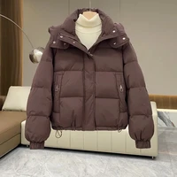 Autumn Winter New Down Cotton Jacket Women's Korean Cotton-Padded Thicken Warm Hooded Parkas Short Coat Female Casual Ladies Top 2