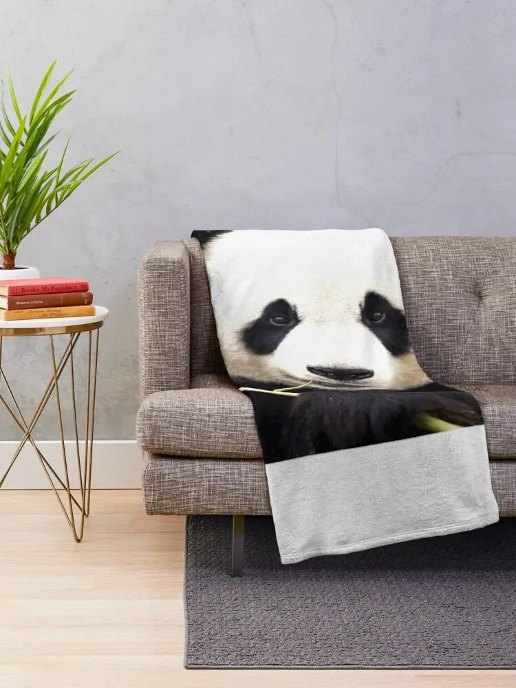 �� �Ҵ� ������ ���, �ܿ� ũ�������� ���, ǫ���� ���