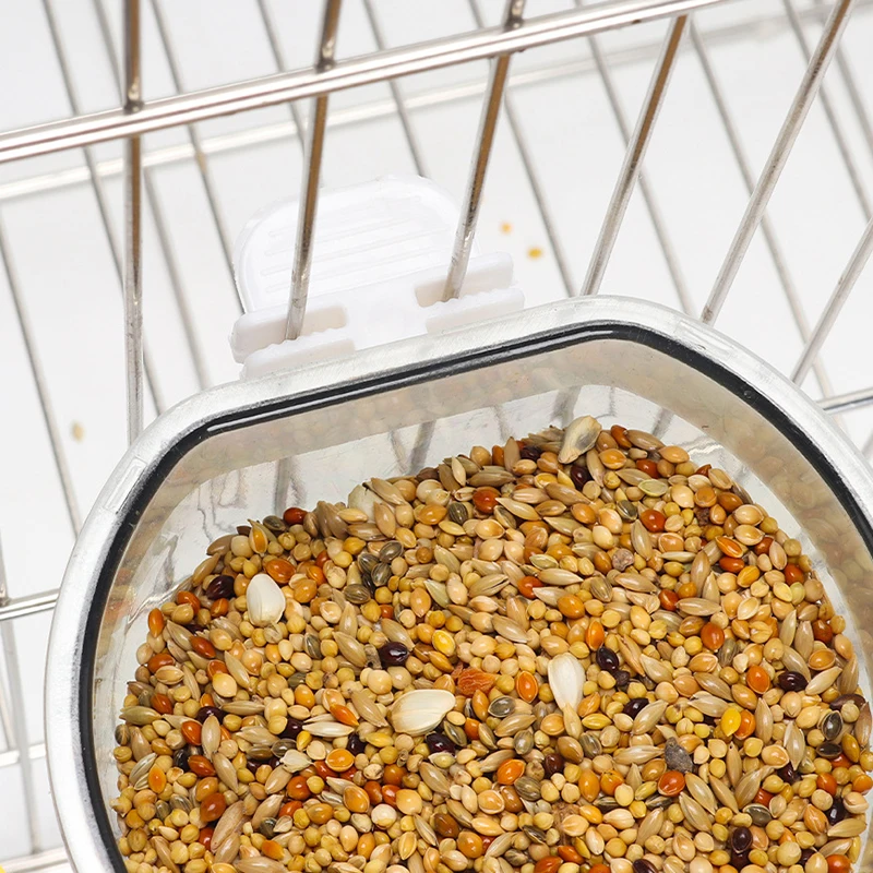 Bird Feeding Bowl 5