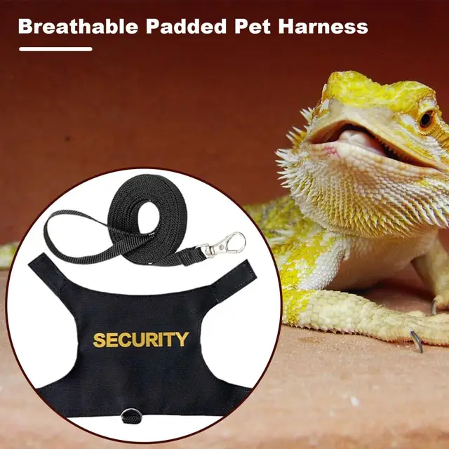 Lizard Leash Harness Soft Padding Reptile Bearded Dragon Vest Top with Hook And Loop Small Animals Security Print Clothes 3