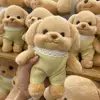 Sylvan 20/30/40cm Mini Baby Poodle Plush Model Hot TT INS Same Cute Dog Family Cartoon Poodle Pillow Birthday Gift Girl Collecti 4