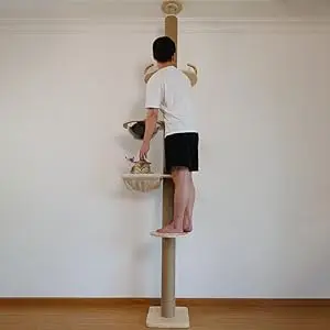 Cat Tree