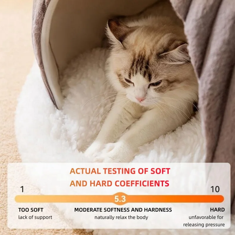 hard cat bed