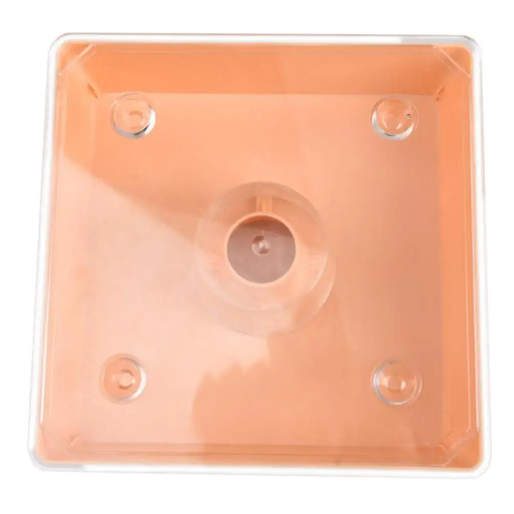 Square 2 litres beehive top feeder bee water feeder pre-assembled durable