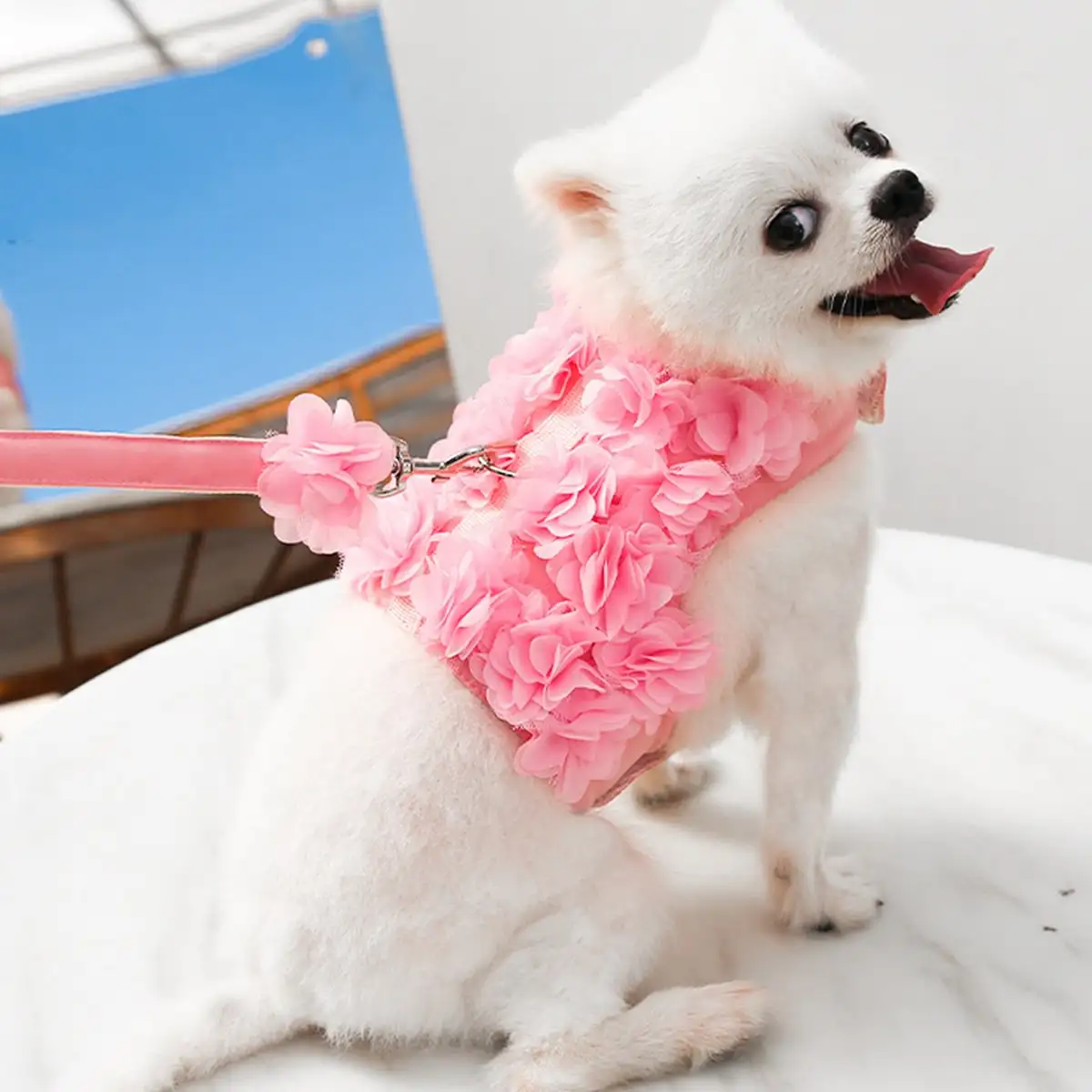 Cute Small Dog Harness and Leash Set Pink Lace Floral