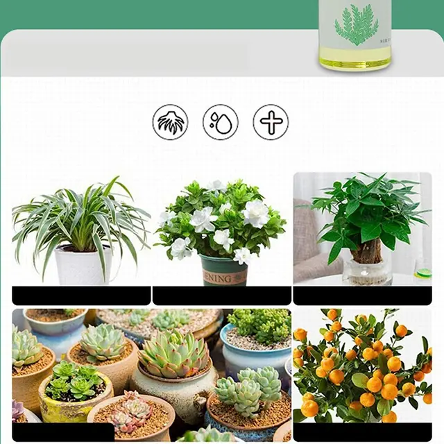 Növényi Gyökérhormonok, Nagy Teljesítményű Szerves Gyökér | 50 Ml Folyékony Fa Stimulátor A Transzplantációkhoz, Gyökérnövekedés, Tre - Image 4