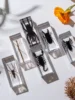 1PC Real Insect Bug Specimen Taxidermia Clear Large Bug Epoxy Resin Stick Insect Insect Scorpion Specimen Craft Decoration 3