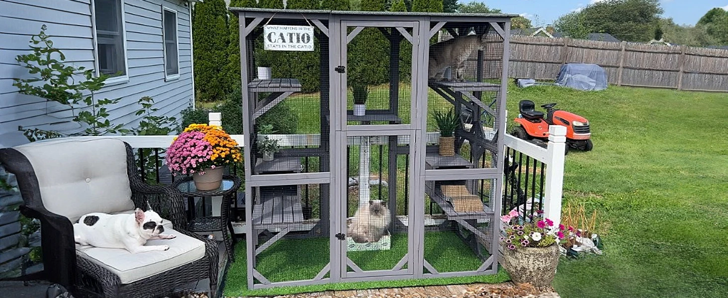 catio
